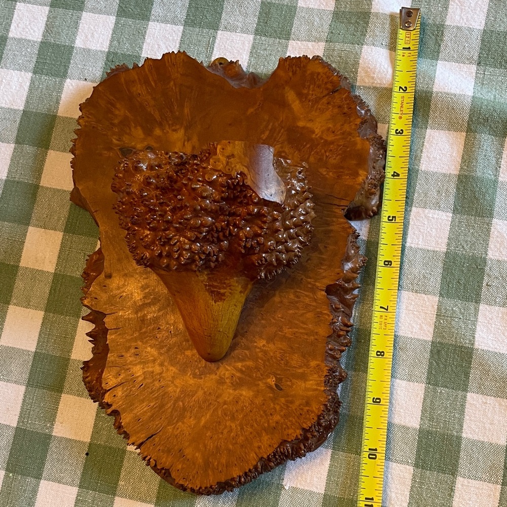 Unique Wooden Burl Art Piece
